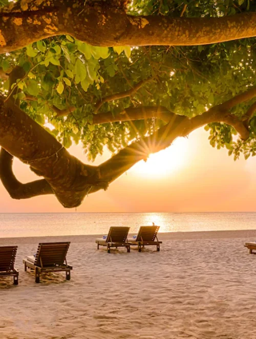 Grand Srilanka Odyssey
