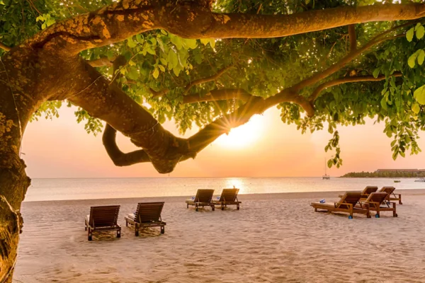 Grand Srilanka Odyssey