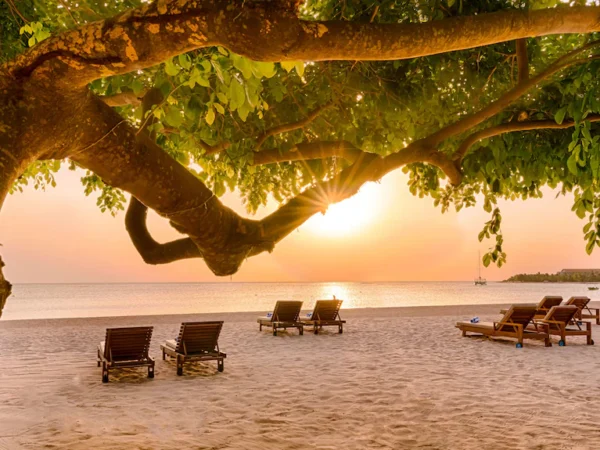 Grand Srilanka Odyssey