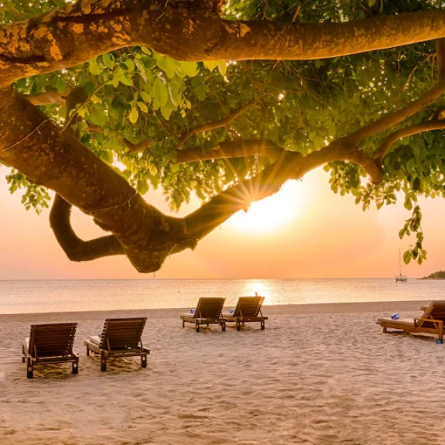Grand Srilanka Odyssey
