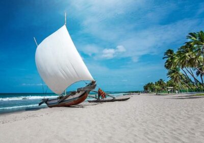 🏖️ Beach & Adventure “From Surf to Safari — The Perfect Two Week Sri Lanka Itinerary for Adventure Lovers”