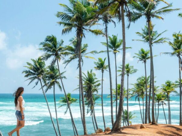 Costal Bliss Srilanka