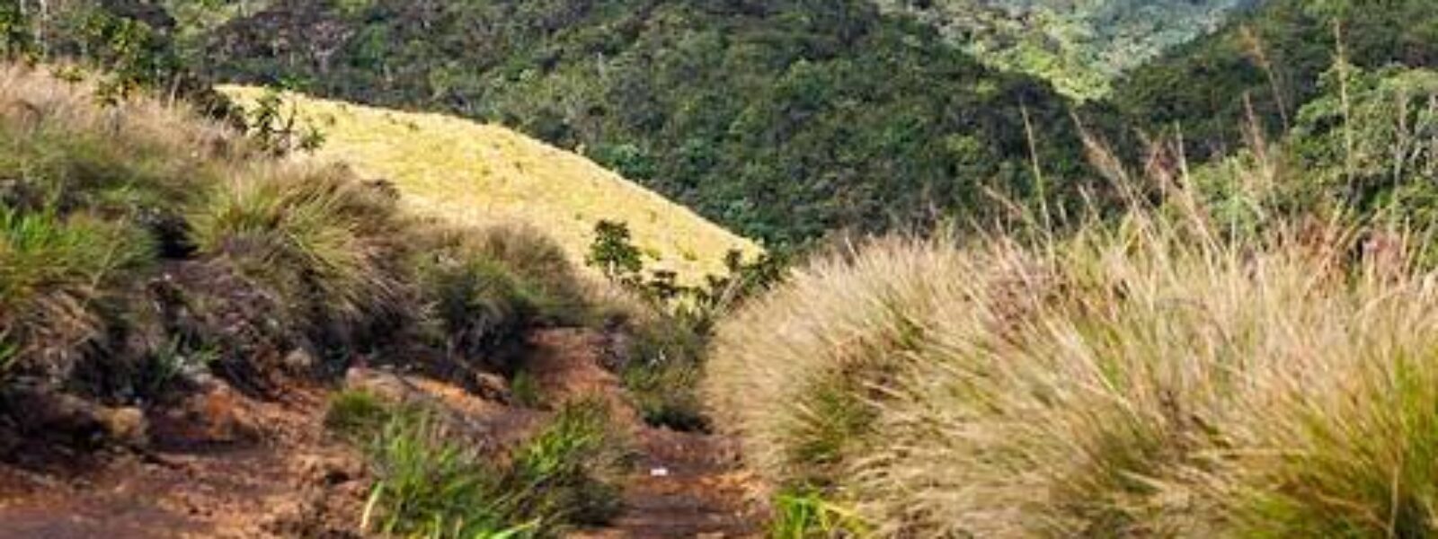 Horton Plains